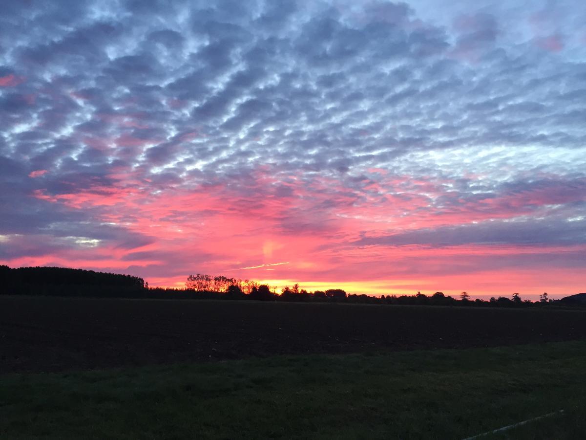 La Girarde Bed & Breakfast Saint-Quentin-de-Caplong Eksteriør bilde